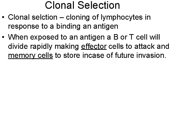 Clonal Selection • Clonal selction – cloning of lymphocytes in response to a binding
