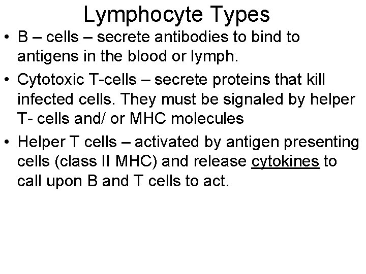 Lymphocyte Types • B – cells – secrete antibodies to bind to antigens in