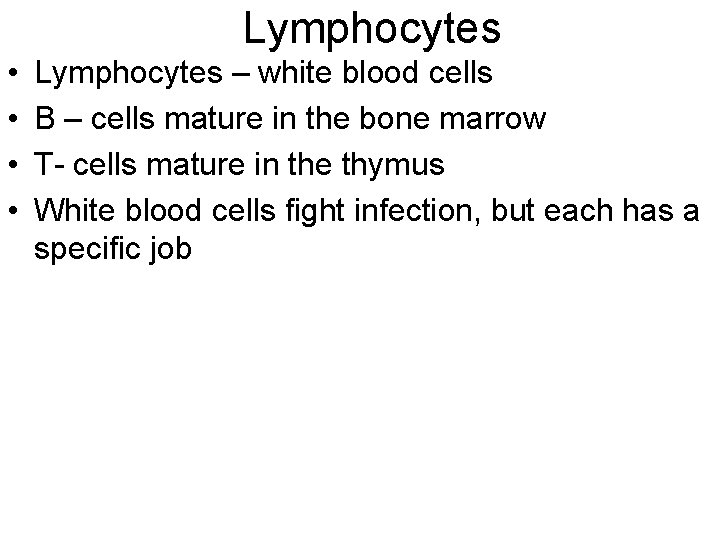 Lymphocytes • • Lymphocytes – white blood cells B – cells mature in the