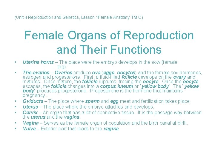 (Unit 4 Reproduction and Genetics, Lesson 1 Female Anatomy TM. C) Female Organs of