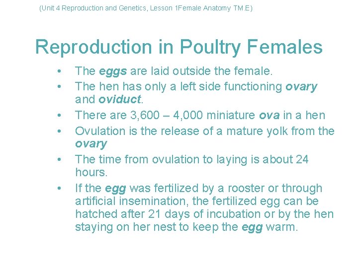(Unit 4 Reproduction and Genetics, Lesson 1 Female Anatomy TM. E) Reproduction in Poultry