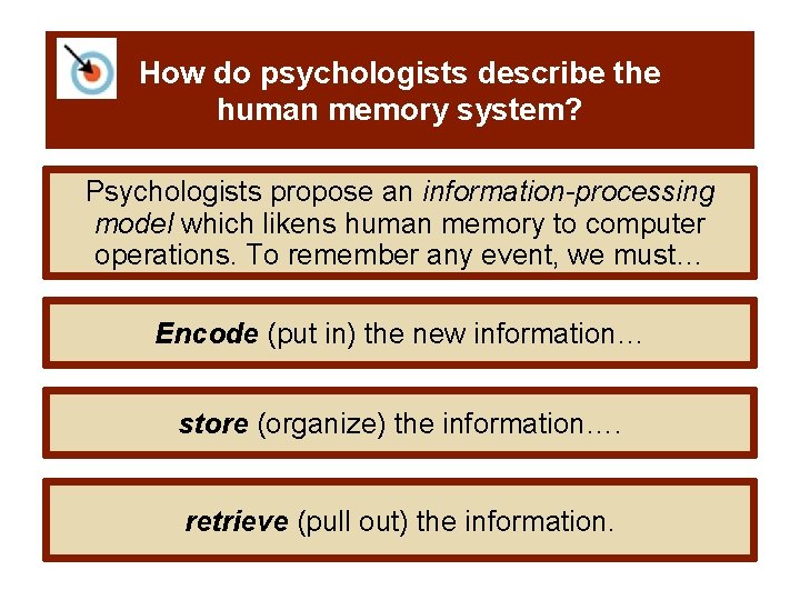 How do psychologists describe the human memory system? Psychologists propose an information-processing model which