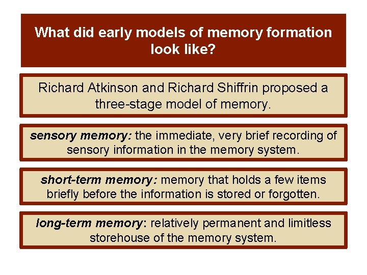 What did early models of memory formation look like? Richard Atkinson and Richard Shiffrin