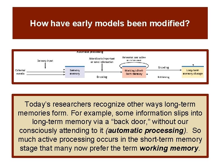 How have early models been modified? Today’s researchers recognize other ways long-term memories form.