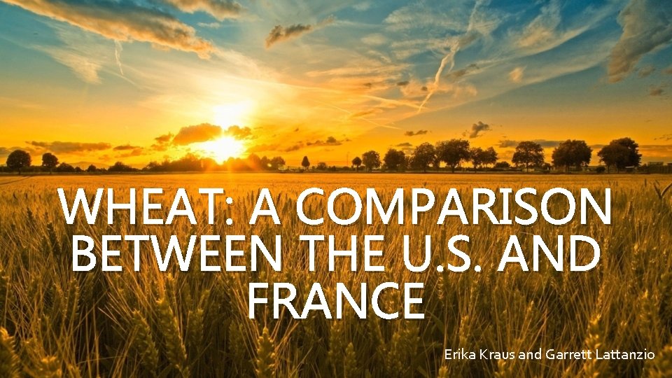 WHEAT: A COMPARISON BETWEEN THE U. S. AND FRANCE Erika Kraus and Garrett Lattanzio
