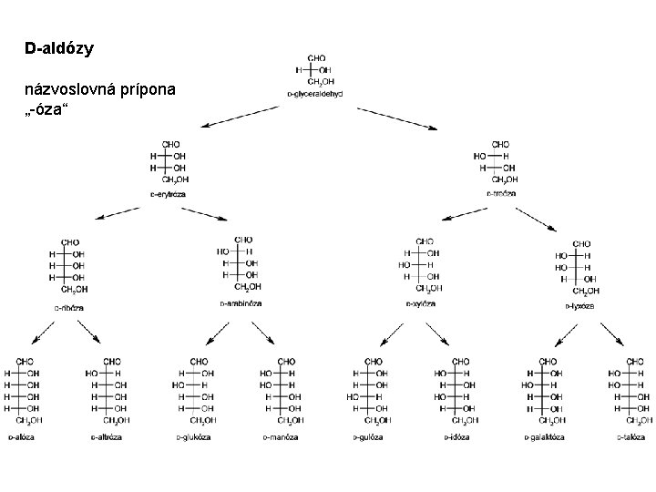 D-aldózy názvoslovná prípona „-óza“ 