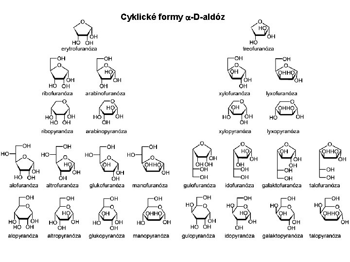 Cyklické formy -D-aldóz 