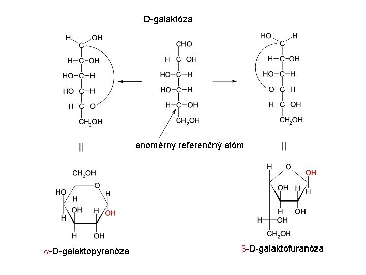 D-galaktóza anomérny referenčný atóm -D-galaktopyranóza -D-galaktofuranóza 