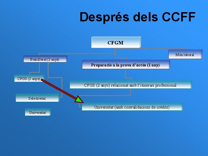 Després dels CCFF CFGM Món laboral Batxillerat (2 anys) Preparació a la prova d’accés