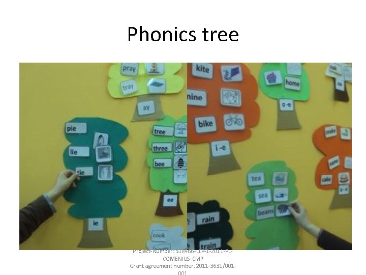 Phonics tree Project-Number: 518466 -LLP-1 -2011 -PLCOMENIUS-CMP Grant agreement number: 2011 -3631/001 - 