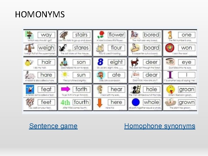 HOMONYMS Sentence game Homophone synonyms 