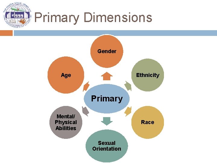 Primary Dimensions Gender Ethnicity Age Primary Mental/ Physical Abilities Race Sexual Orientation 