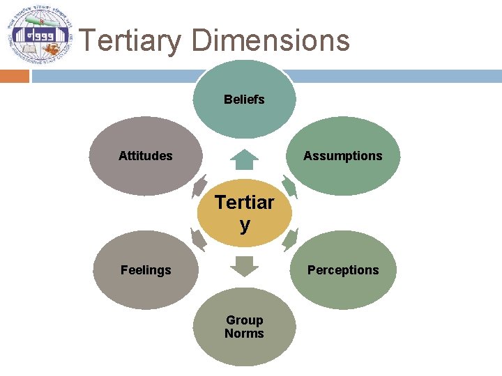 Tertiary Dimensions Beliefs Attitudes Assumptions Tertiar y Feelings Perceptions Group Norms 