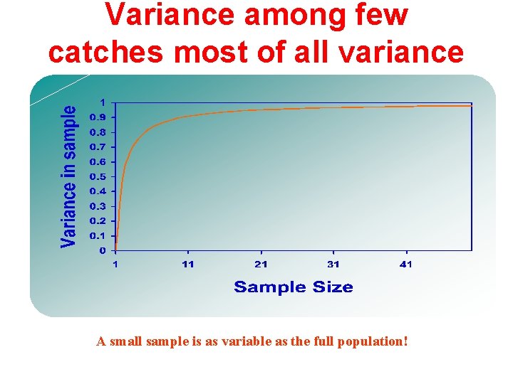 Variance among few catches most of all variance A small sample is as variable