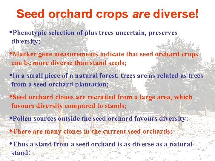Seed orchard crops are diverse! • Phenotypic selection of plus trees uncertain, preserves diversity;