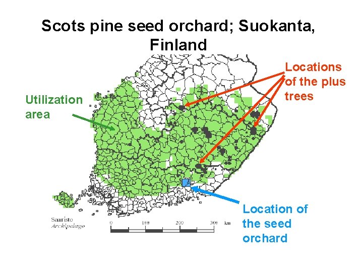 Scots pine seed orchard; Suokanta, Finland Utilization area Locations of the plus trees Location