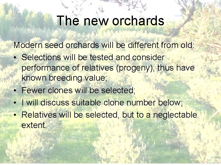The new orchards Modern seed orchards will be different from old: • Selections will