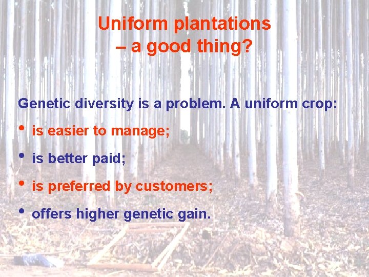 Uniform plantations – a good thing? Genetic diversity is a problem. A uniform crop: