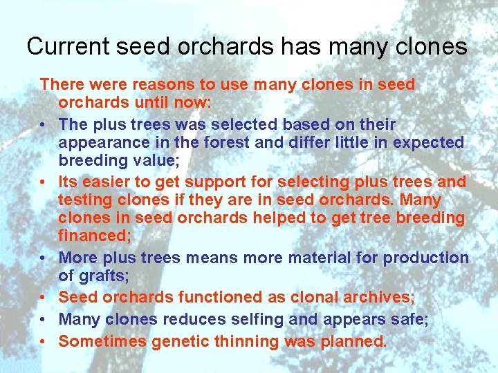 Current seed orchards has many clones There were reasons to use many clones in