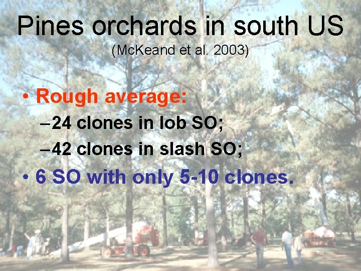Pines orchards in south US (Mc. Keand et al. 2003) • Rough average: –