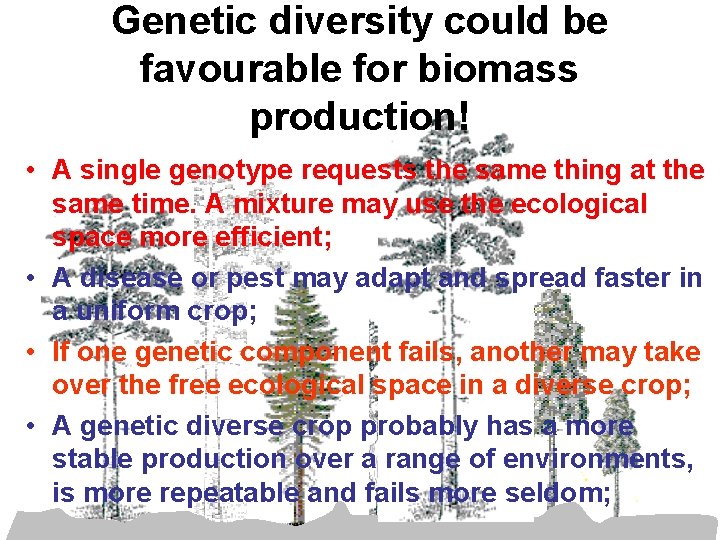 Genetic diversity could be favourable for biomass production! • A single genotype requests the