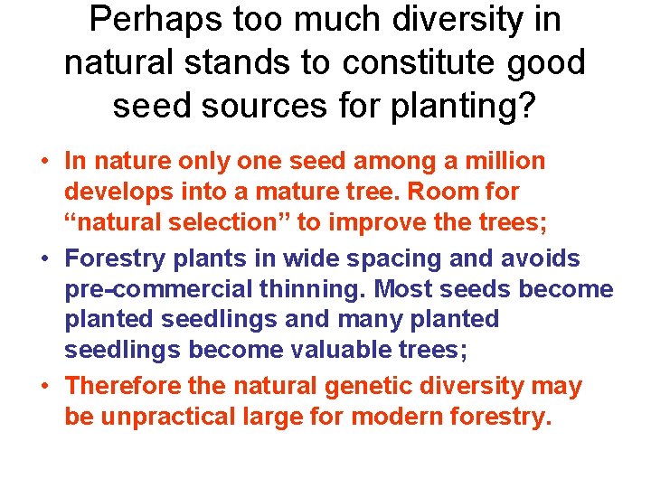 Perhaps too much diversity in natural stands to constitute good seed sources for planting?