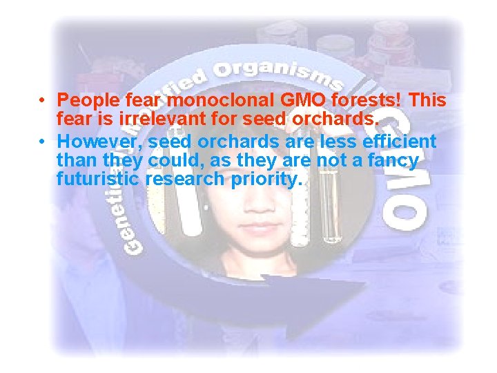  • People fear monoclonal GMO forests! This fear is irrelevant for seed orchards.