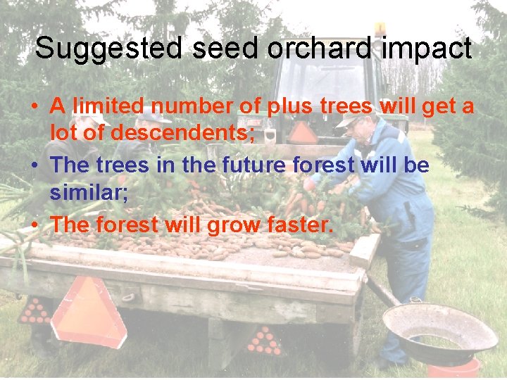 Suggested seed orchard impact • A limited number of plus trees will get a