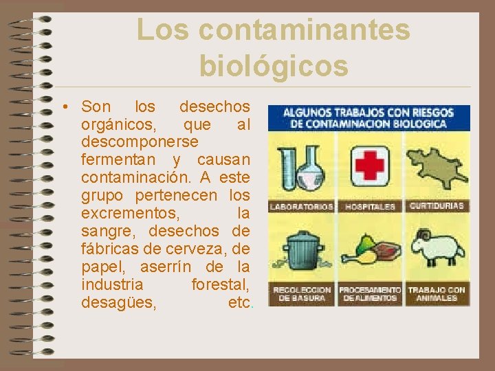 Los contaminantes biológicos • Son los desechos orgánicos, que al descomponerse fermentan y causan