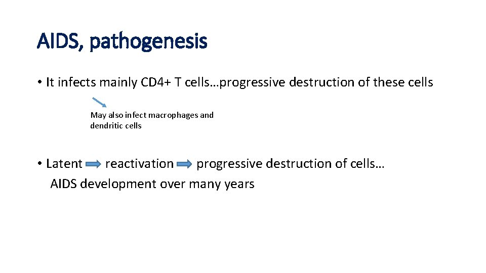 AIDS, pathogenesis • It infects mainly CD 4+ T cells…progressive destruction of these cells