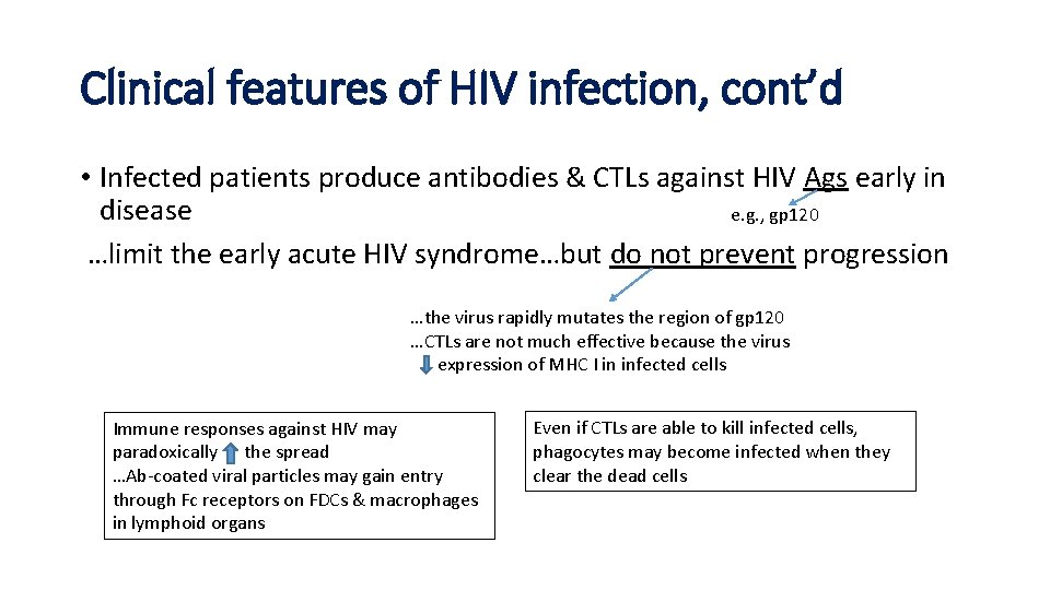 Clinical features of HIV infection, cont’d • Infected patients produce antibodies & CTLs against