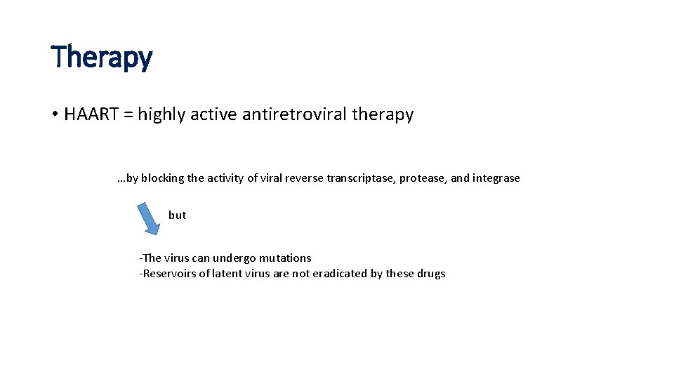 Therapy • HAART = highly active antiretroviral therapy …by blocking the activity of viral