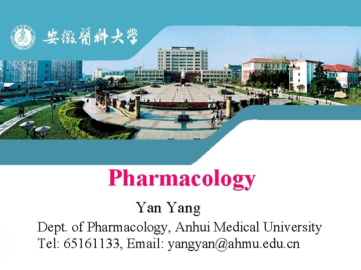 Pharmacology Yang Dept. of Pharmacology, Anhui Medical University Tel: 65161133, Email: yangyan@ahmu. edu. cn