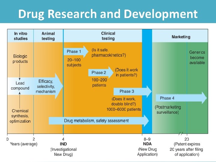Drug Research and Development (R&D) 