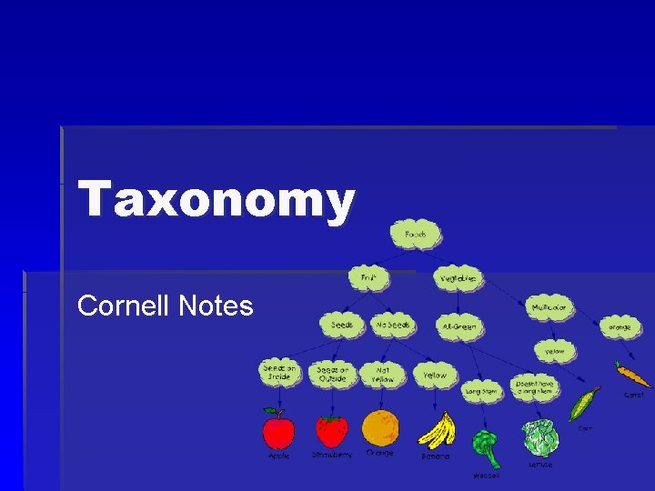 Taxonomy Cornell Notes 