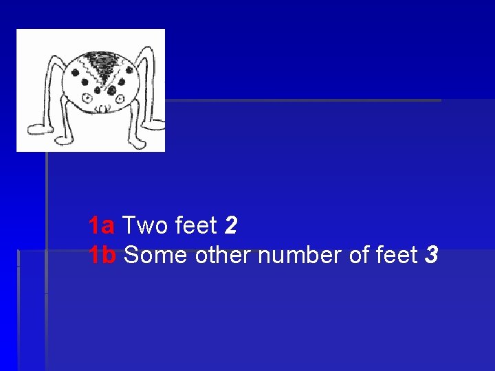 1 a Two feet 2 1 b Some other number of feet 3 