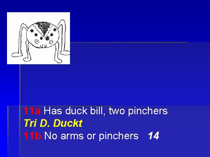 11 a Has duck bill, two pinchers Tri D. Duckt 11 b No arms