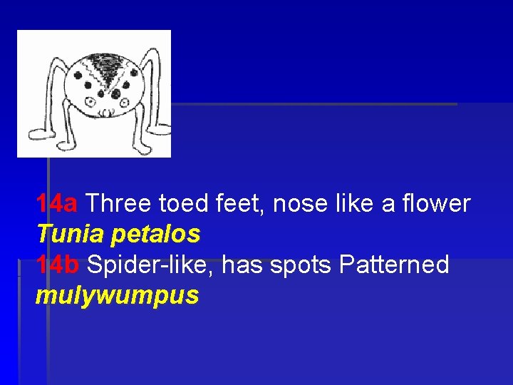 14 a Three toed feet, nose like a flower Tunia petalos 14 b Spider-like,