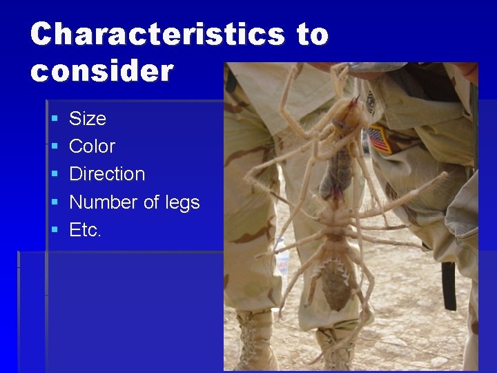 Characteristics to consider § § § Size Color Direction Number of legs Etc. 