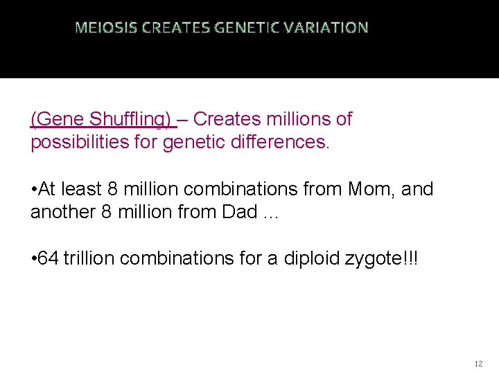 (Gene Shuffling) – Creates millions of possibilities for genetic differences. • At least 8