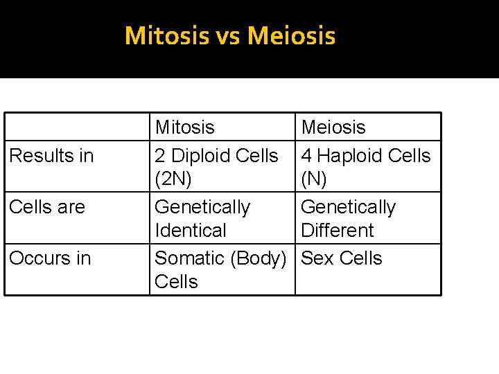 Mitosis vs Meiosis Results in Cells are Occurs in Mitosis 2 Diploid Cells (2