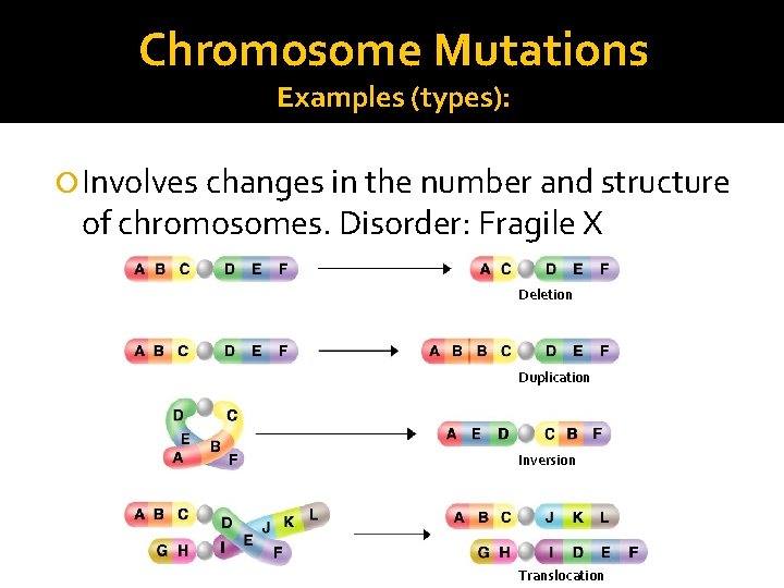 Chromosome Mutations Examples (types): Involves changes in the number and structure of chromosomes. Disorder: