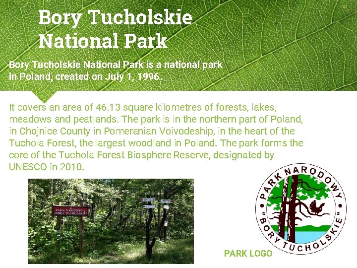 Bory Tucholskie National Park is a national park in Poland, created on July 1,