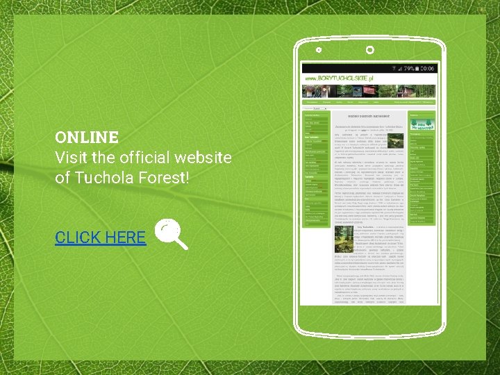 ONLINE Visit the official website of Tuchola Forest! CLICK HERE 