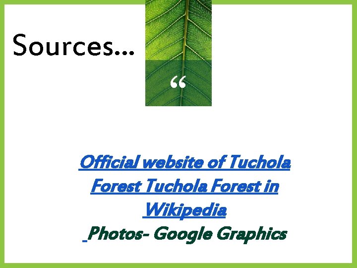 Sources. . . “ Official website of Tuchola Forest in Wikipedia Photos- Google Graphics