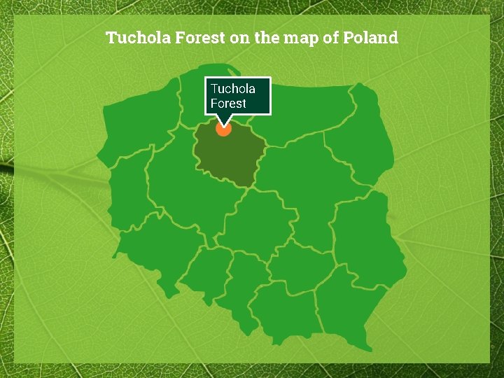 Tuchola Forest on the map of Poland Tuchola Forest 