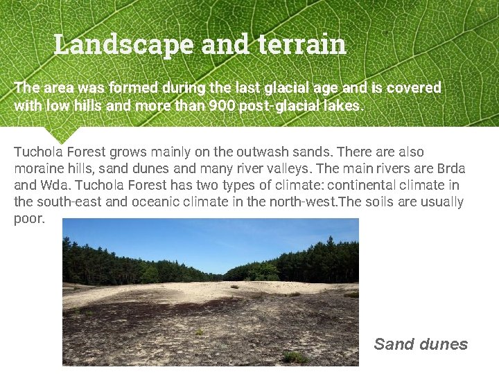 Landscape and terrain The area was formed during the last glacial age and is