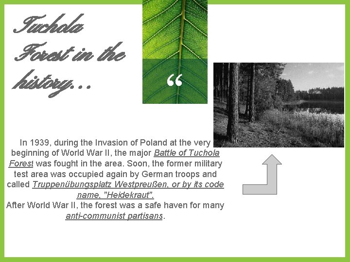 Tuchola Forest in the history. . . “ In 1939, during the Invasion of