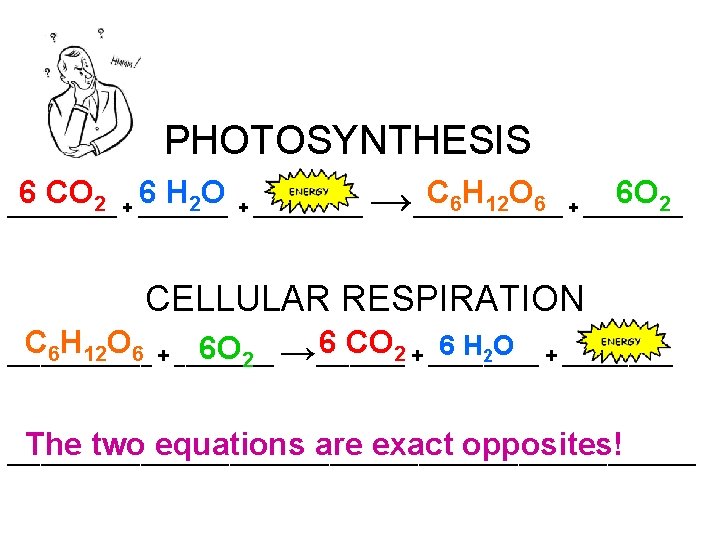 PHOTOSYNTHESIS 6 CO 6 H O 2 + _____ 2 ______ + ______ C