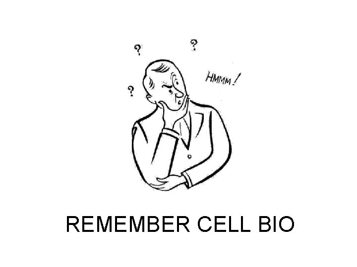 REMEMBER CELL BIO 